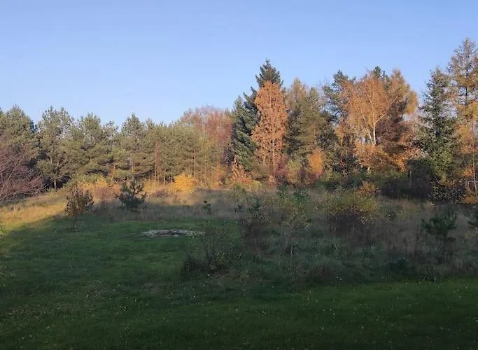 بيت للعطل Slusarnia-domek Z Sauna I Balia Nad Jeziorem, Kaszuby Żuromin